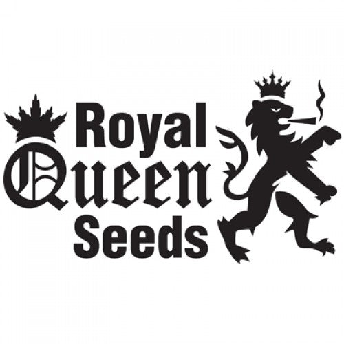 Royal Kush (autoflower)