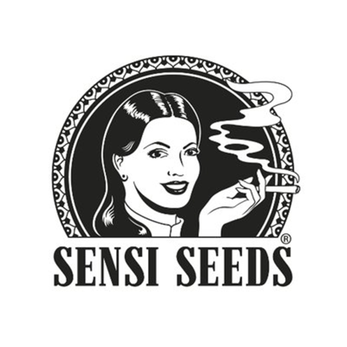 Sensi Skunk (feminisoitu siemen)