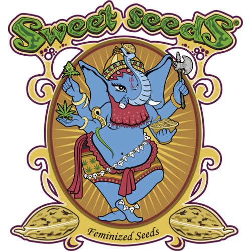 S.A.D. Sweet Afgani Delicious F1 Fast Version®(feminisoitu siemen)